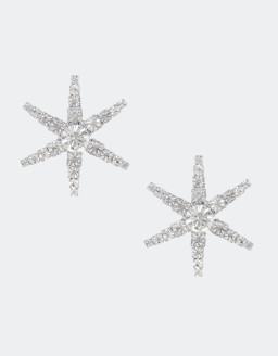 Star Earring Silver -1.jpg